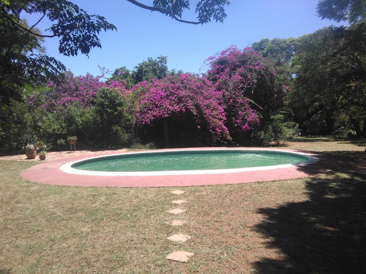 Limerick Cottages Bulawayo Exterior foto